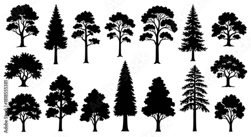A diverse collection of black tree silhouettes, featuring various species like pine, oak, and fir, isolated on a white background for design projects