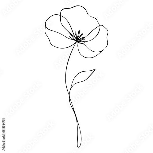 Dibujo de línea continua de amapola con tallo y hoja
