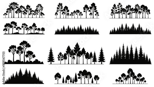 Diverse Forest Silhouettes Representing Various Tree Species and Ecosystems
