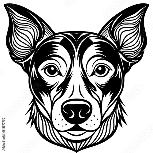 Detailed dog head isolated on with expressive eyes