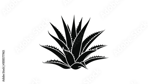 Black and white aloe vera plant illustration vector graphic