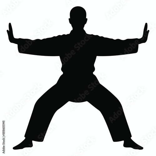 Martial arts practitioner in a strong, balanced stance, arms out, legs wide, isolated on white background