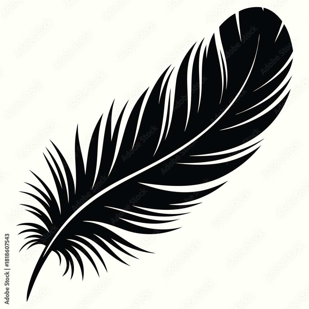 Obraz premium Elegant black feather with intricate details and soft texture, isolated on white background