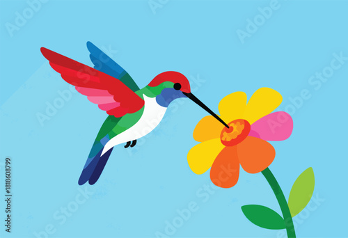 Vibrant illustration of a hummingbird, with colorful wings, hovering near a bright flower. Blue background