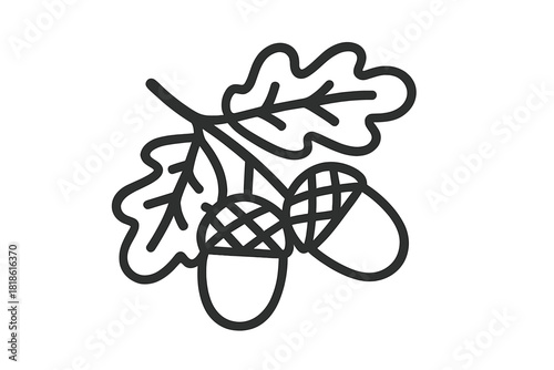 Stylized black outline of an oak tree branch with mature acorns and distinctive foliage