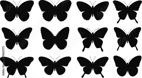 Butterfly Silhouettes Collection Diverse Wing Shapes And Styles insect nature