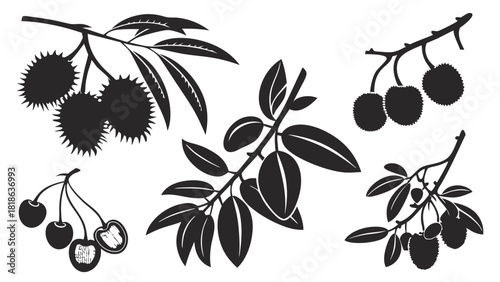 Fresh Fruit Silhouettes Vector Illustration Set. Healthy Organic Summer Fruits for Food Packaging, Web Design, and Branding.