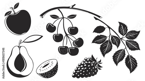 Fresh Organic Fruit and Berry Vector Silhouettes with Leafy Branch for Healthy Food Packaging Web Design and Nutrition Education