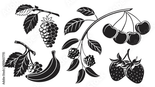 Black and White Fresh Fruits and Berries Engraving Set. Hand Drawn Vintage Organic Food Illustrations for Healthy Lifestyle and Packaging Design.