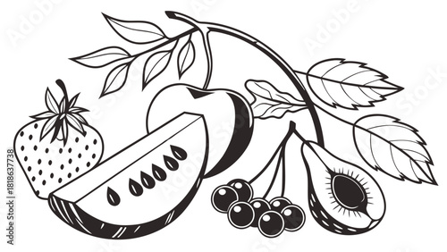 Fresh Organic Fruits and Berries Vector Line Art. Healthy Food Drawing for Nutrition, Diet, Summer Recipes, and Wellness Design.