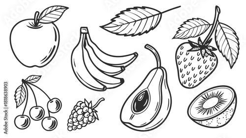 Hand drawn fruit collection with apple bananas cherries strawberries grapes kiwi pear and leaves in detailed black and white line art perfect for food graphics recipe themes and organic design project