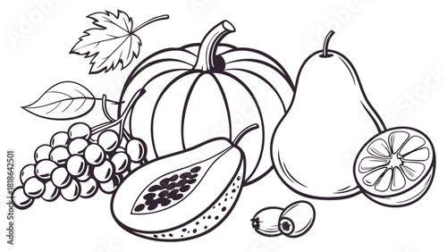 Black-and-white fruit line art set – coloring page and vector clipart for educational and craft use
