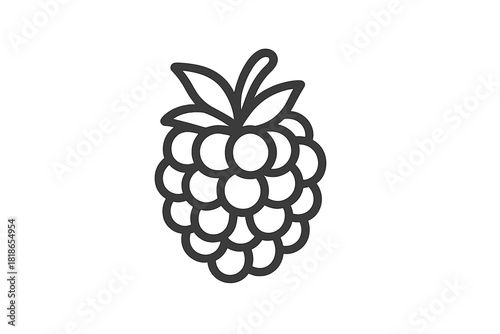 Minimalist black line art icon depicting a single fresh raspberry fruit with small leaves