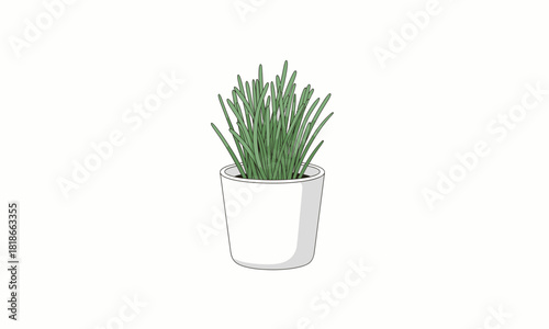 Hand-drawn illustration of a vibrant green grass-like plant in a simple white cylindrical pot.