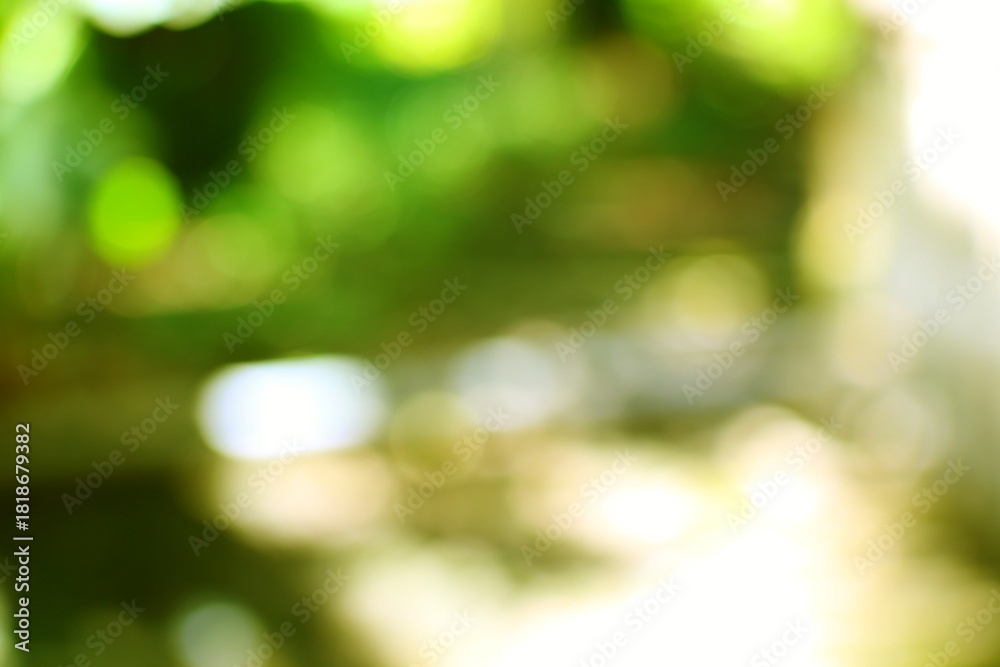 Obraz premium Abstract bokeh lights represent a peaceful natural atmosphere with dappled sunlight filtering