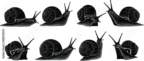 Thanksgiving clip art set with turkey, pumpkin, corn, wine, pilgrim and native american icons vector