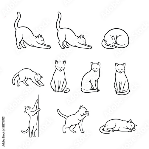 Collection of various cat poses in black and white line art, isolated on white background