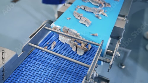 Herring fish moves along the conveyor line Fish production.