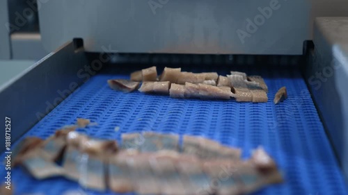 Herring is cut on a conveyor line. Fish production.