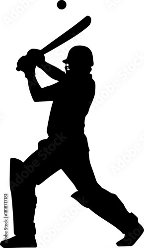 Creative design of cricket player