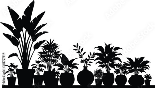 Silhouette illustration of assorted indoor potted plants arranged on a shelf, showcasing diverse foliage shapes, decorative greenery, botanical leaves, and home decor accents.