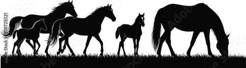 Silhouette illustration of horses and foals walking and grazing in grass, showcasing natural wildlife movement, pastoral beauty, and peaceful outdoor scenery.