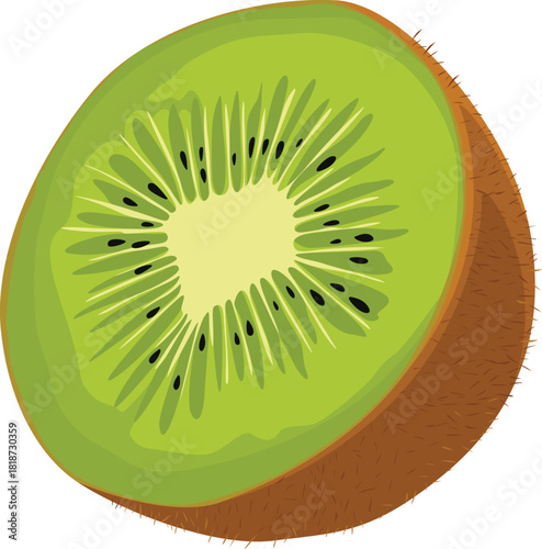 A vibrant, detailed illustration of a halved kiwi fruit, showcasing its bright green flesh, black seeds, and fuzzy brown skin.