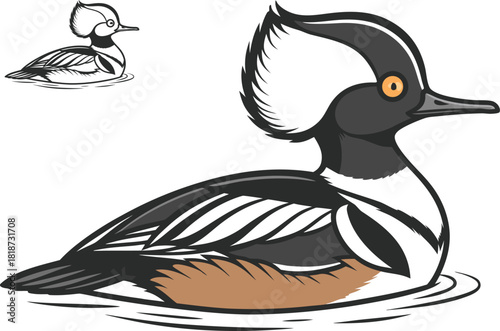 Full Body Hooded Merganser Female Bird Vector Illustration