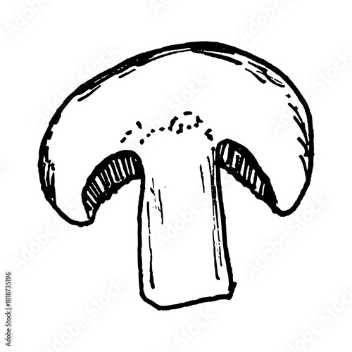 Detailed black and white line art illustration of a mushroom cap and stem. Ideal for pizza toppings, soups, salads, risotto and vegetarian food graphics for menus and recipes.