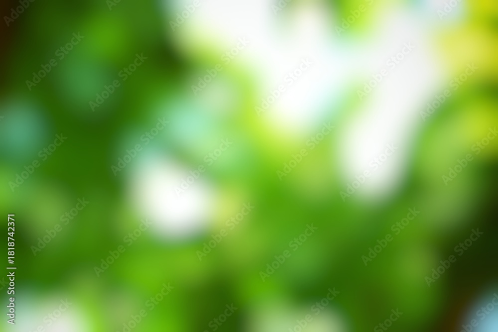 Obraz premium Luminous green foliage dappled with sunlight creates a serene natural backdrop for tranquil