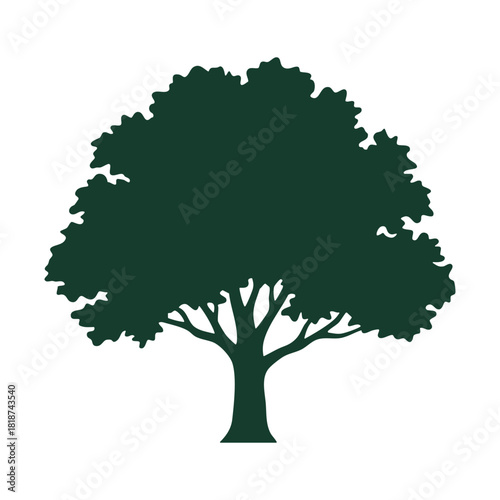 Green oak tree silhouette with dense foliage nature plant