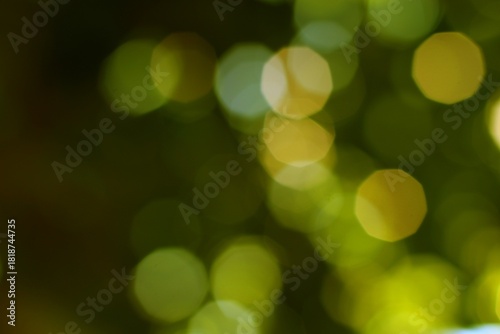Softly illuminated green nature bokeh lights create a tranquil and serene background composition