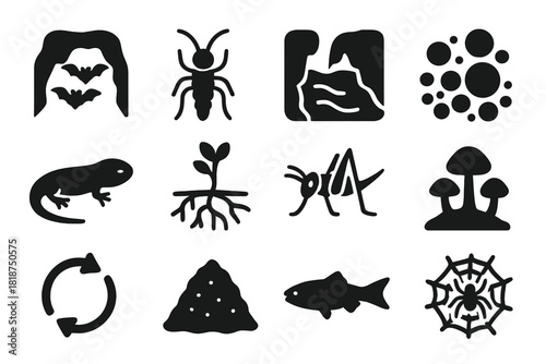 Subterranean Ecosystem Icons. Solid style icons of subterranean ecosystems: bat colony, troglobite insect, underground stream,