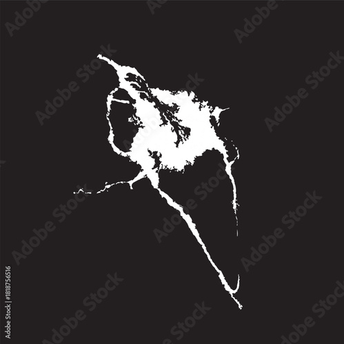 Grunge birds droppings black and white. Flat blots style vector illustration. Map. Abstract paint drop.