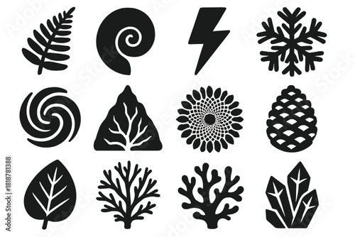 Nature Patterns Icons. Solid style icons of patterns in nature: fern leaf, nautilus shell, lightning bolt, snowflake crystal,