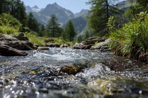 Crystal Clear Mountain Stream Flowing Through a Verdant Landscape.