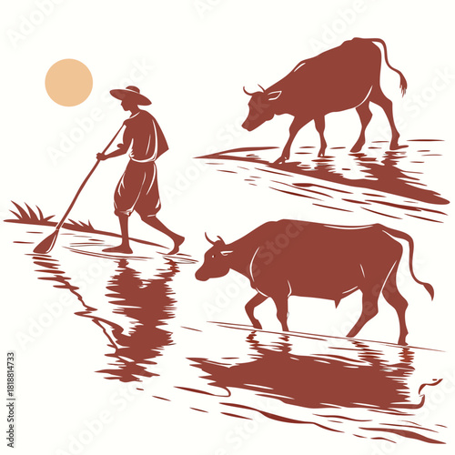 Farmer guiding cattle through shallow water during a warm sunset with reflections on the surface