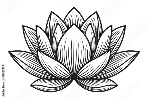 Lotus flower engraving vector style