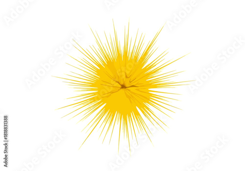A bright yellow dandelion seed head isolated on, representing nature and growth