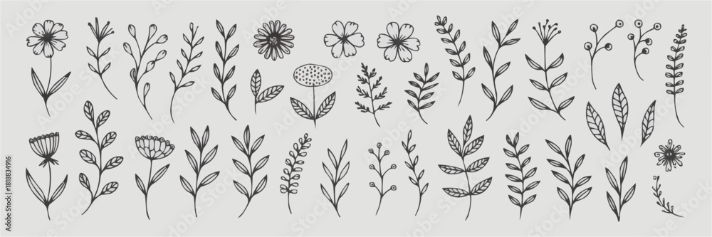 Obraz premium Floral Elegance: Intricate sketches of delicate flowers and foliage dance across the canvas, showcasing the beauty of nature's botanical art.