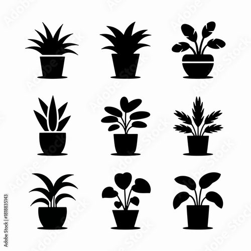 Collection of Houseplant Silhouettes: A curated collection of elegant houseplant silhouettes, showcasing a variety of botanical forms, from lush foliage to minimalist pots.