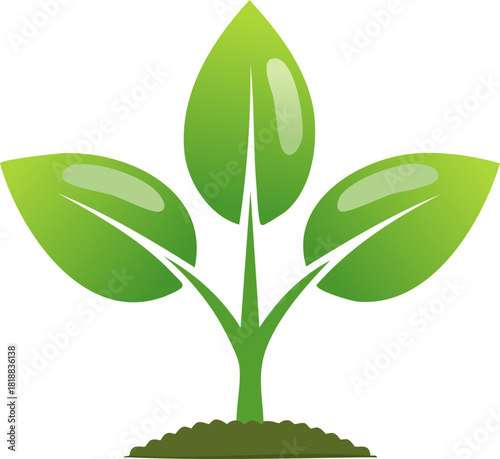 A clean graphic of a young plant with three vibrant leaves rising from the ground representing natural growth
