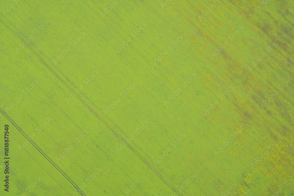 Obraz premium Aerial drone shot of a vibrant lime green field showing faint tractor tracks (tramlines) and a section of flowering crops. Represents spring growth and sustainable farming.
