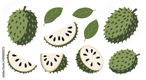 Set of soursop or graviola fruit illustrations showing the whole fruit slices and leaves in a textured flat design.