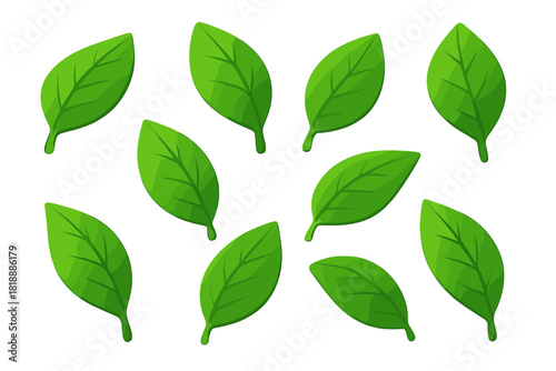 Scattered fresh green leaves pattern representing nature, organic food, and healthy lifestyle