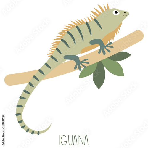 Green iguana climbing tropical tree branch illustration