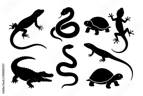 Black silhouette reptiles and amphibians collection.