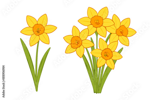Vibrant yellow spring flowers featuring a single daffodil and a cluster of narcissus blooms