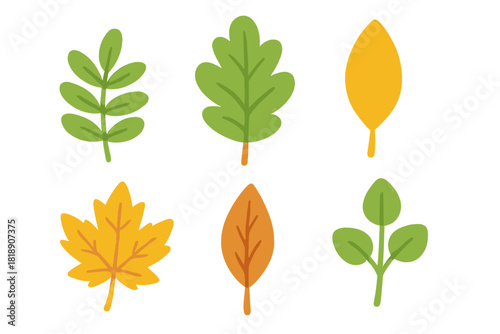 Stylized collection of autumn and summer leaves in various shapes and colors