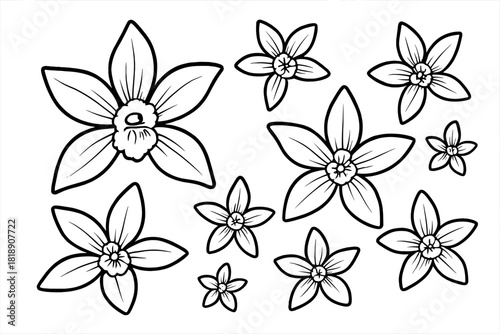 Stylized black and white outline flowers arrangement for coloring book or seamless pattern design